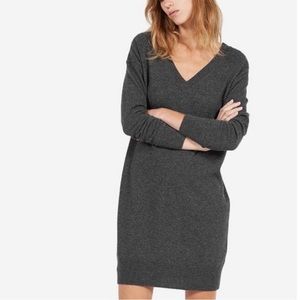 Everlane cashmere v neck sweater dress